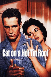 Cat on a Hot Tin Roof