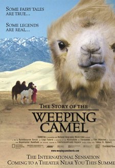 The Story of the Weeping Camel